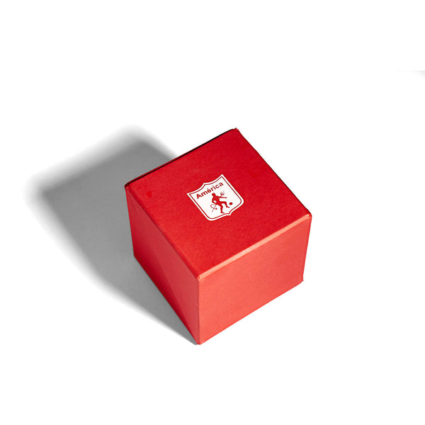 CUBO ORGANIZADOR